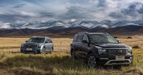 北京淘汰汽车年限是多少(北京淘汰汽车年限解析)