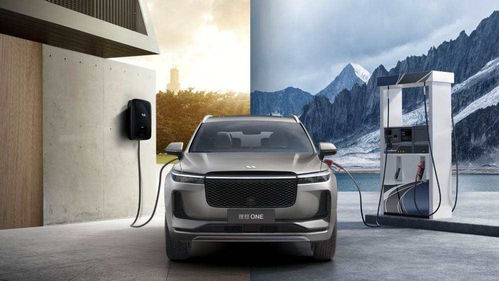 理想汽车送多少流量套餐(理想汽车流量套餐大揭秘，究竟赠送多少流量？