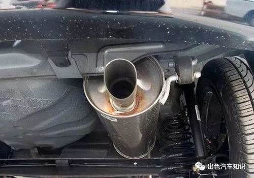 汽车排气软管多少钱(汽车排气软管价格解析)