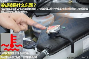 汽车冷却液多少kg(汽车冷却液的重要性与标准用量)