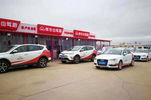 钱塘区汽车租赁价格多少(钱塘区汽车租赁价格概览)