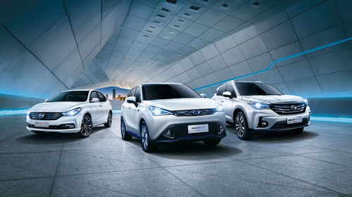 华祺汽车多少钱(华祺汽车价格解析)