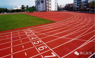 汽车塑料跑道多少米(汽车塑料跑道,探索其长度与现代交通的紧密联系) 汽车塑料跑道多少米(汽车塑料跑道,探索其长度与现代交通的紧密联系)