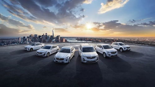 联邦汽车膜系列有多少(联邦汽车膜系列数量探秘)