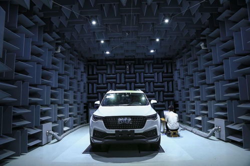 汽车店每天用掉多少水(汽车店日常运营与水资源消耗，每日水用量揭秘)