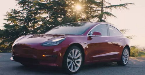 特斯拉3汽车价格多少(特斯拉Model 3汽车价格解析)
