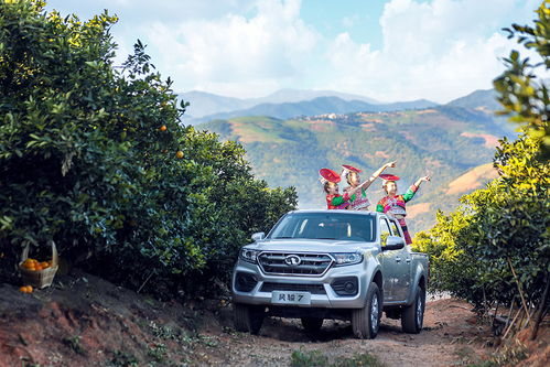 北京有多少汽车救援公司(北京汽车救援公司数量概览)