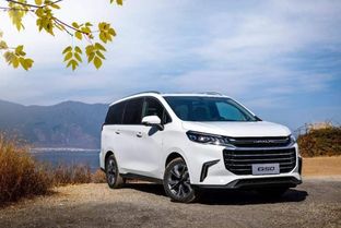 国产汽车有多少品牌(国产汽车品牌数量概览) 国产汽车有多少品牌(国产汽车品牌数量概览)