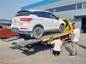 多少吨车是黄牌汽车(揭秘城市交通，多少吨车是黄牌汽车？