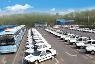 南坪汽车训练费用多少(南坪汽车训练费用解析)