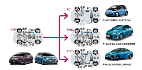 汽车油蜡分为多少层次(汽车油蜡的层次分类)