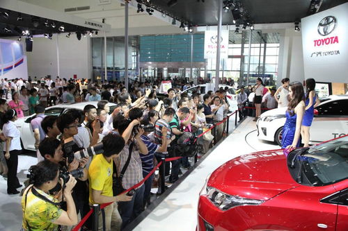 长沙汽车动力种类有多少(长沙汽车动力种类概览)