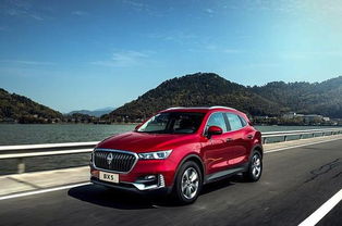 德国汽车价格是多少(德国汽车价格概览)