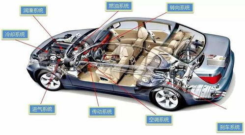 汽车线路总成多少钱(汽车线路总成价格解析)