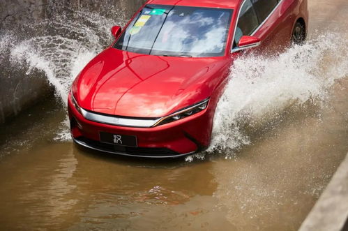 比亚迪汽车今日收入多少(比亚迪汽车今日收入揭秘)