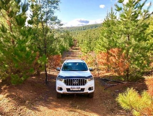 衡阳到横县汽车多少公里(衡阳至横县，汽车之旅的千里之遥)