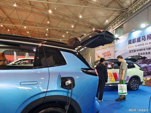 成都有多少电动汽车(成都有多少电动汽车?探索成都电动汽车的普及与发展) 成都有多少电动汽车(成都有多少电动汽车?探索成都电动汽车的普及与发展)