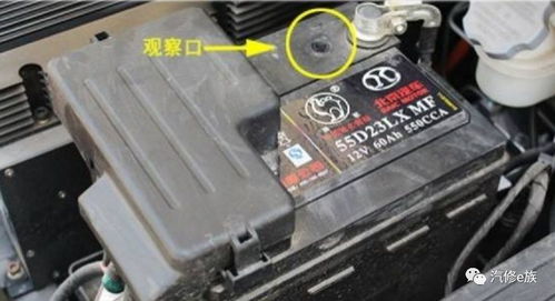 汽车电瓶最高充电多少伏(汽车电瓶最高充电电压解析)