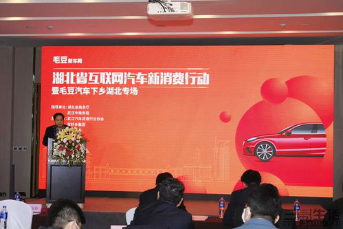 毛豆汽车下乡补贴多少(毛豆汽车下乡补贴政策详解)