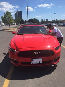 美国野马汽车多少钱(美国野马汽车价格解析)