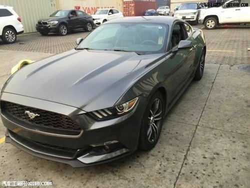 美国野马汽车多少钱(美国野马汽车价格解析)