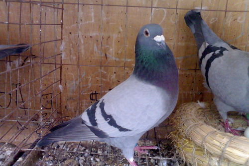 汽车检测个人投资多少(汽车检测，个人投资多少才合适？