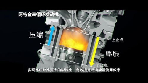 佛得角有多少家庭有汽车(佛得角家庭汽车拥有量概览)