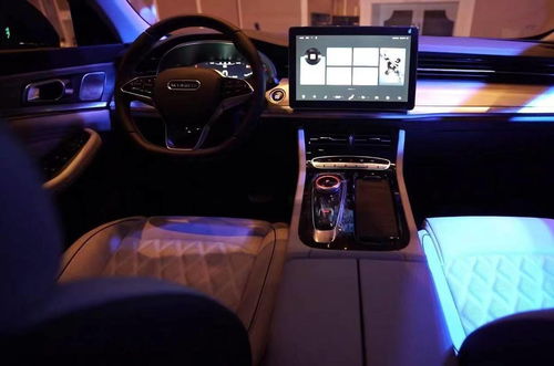 佛得角有多少家庭有汽车(佛得角家庭汽车拥有量概览)