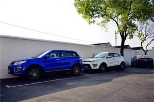 巢湖学汽车油漆费用多少(巢湖学汽车油漆费用解析)