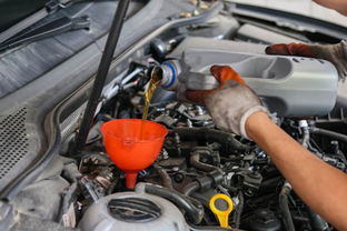 汽车机滤能装多少机油(汽车机滤与机油的容量关系解析)