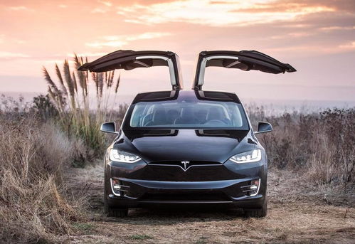 特斯拉汽车购置税多少(特斯拉汽车购置税详解)