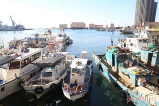 青岛轮渡汽车多少钱(青岛轮渡汽车费用详解)