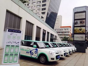 勉县共有多少辆汽车出租(勉县汽车出租数量概览)