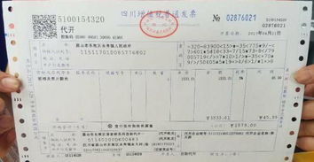 新能源汽车发票吨位多少(新能源汽车与发票吨位，探索绿色出行的经济与环保双重价值)