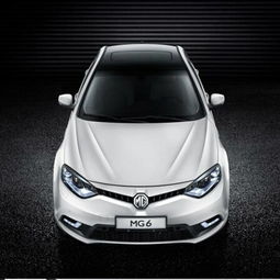 宁夏汽车填充胶价格多少(宁夏汽车填充胶价格解析)