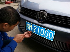 人会有多少汽车车牌(人会有多少汽车车牌？探究车牌数量与人类生活的关联)