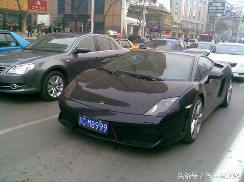 人会有多少汽车车牌(人会有多少汽车车牌？探究车牌数量与人类生活的关联)