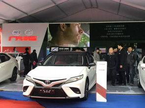 今天汽车现场号码是多少(今日汽车现场号码揭秘)