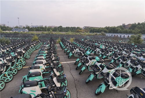 龙南市有多少辆汽车(龙南市汽车数量统计报告)