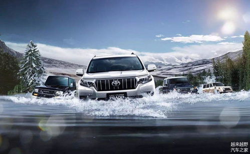 汽车大清洗多少钱(汽车大清洗，费用与价值共存的艺术)