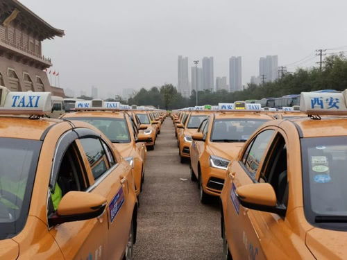 西安共有多少辆汽车出租(西安城市汽车出租数量概览) 西安共有多少辆汽车出租(西安城市汽车出租数量概览)
