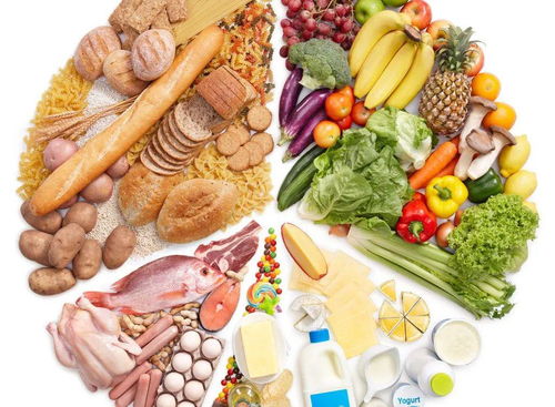 幼儿眼中的湖北美食图片大全 幼儿眼中的湖北美食图片大全