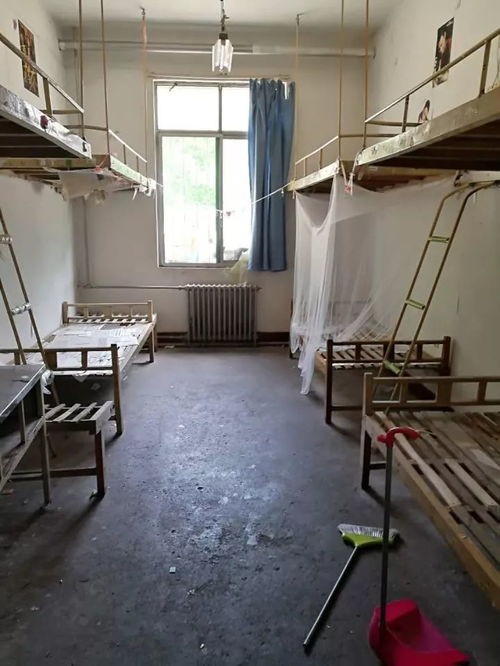 湖北美院宿舍美食探秘，美食与图片分享