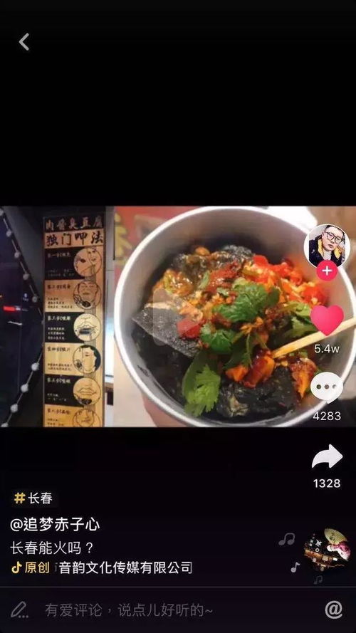 抖音最火湖北美食，美食与音乐交织的魅力之歌