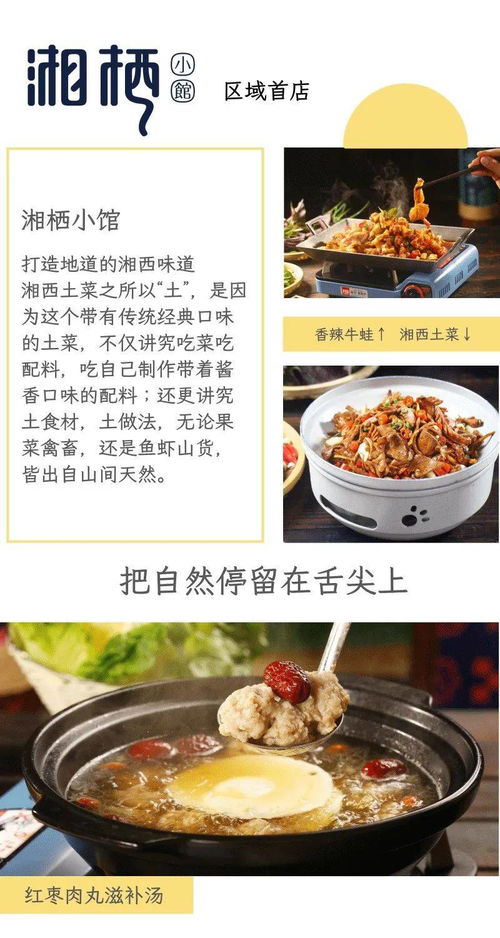 湖北美食代言人揭秘，湖北电视台人气美食主播重磅登场！