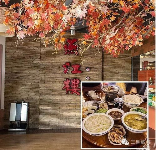 湖北美院旁的美食探秘，美食街逛吃攻略