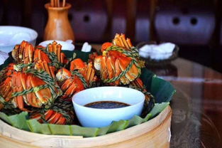 宁波湖北美食之旅与返乡政策解读视频