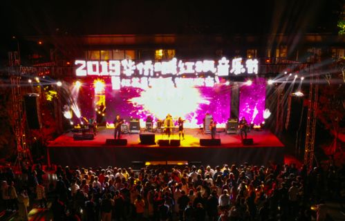 湖北红枫旅游节与考试后的深度反思，一次心灵的洗礼与成长之旅