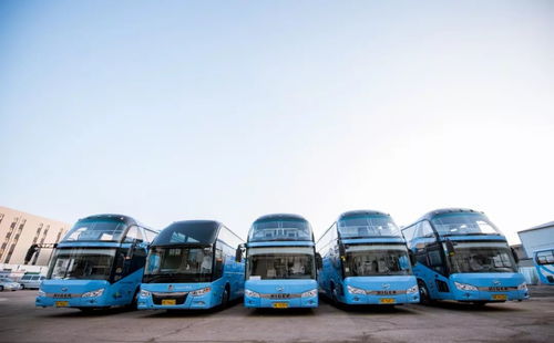 湖北与六安旅游包车公司,专业提供旅游包车服务