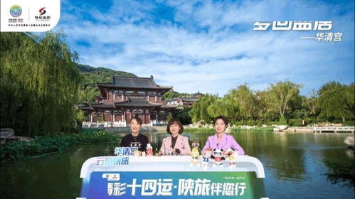 湖北武汉云旅游体验，专业团队带你畅游武汉